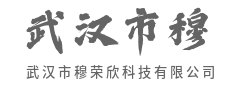 数据化作星河,点亮智能时代航路-武汉市穆荣欣科技有限公司
